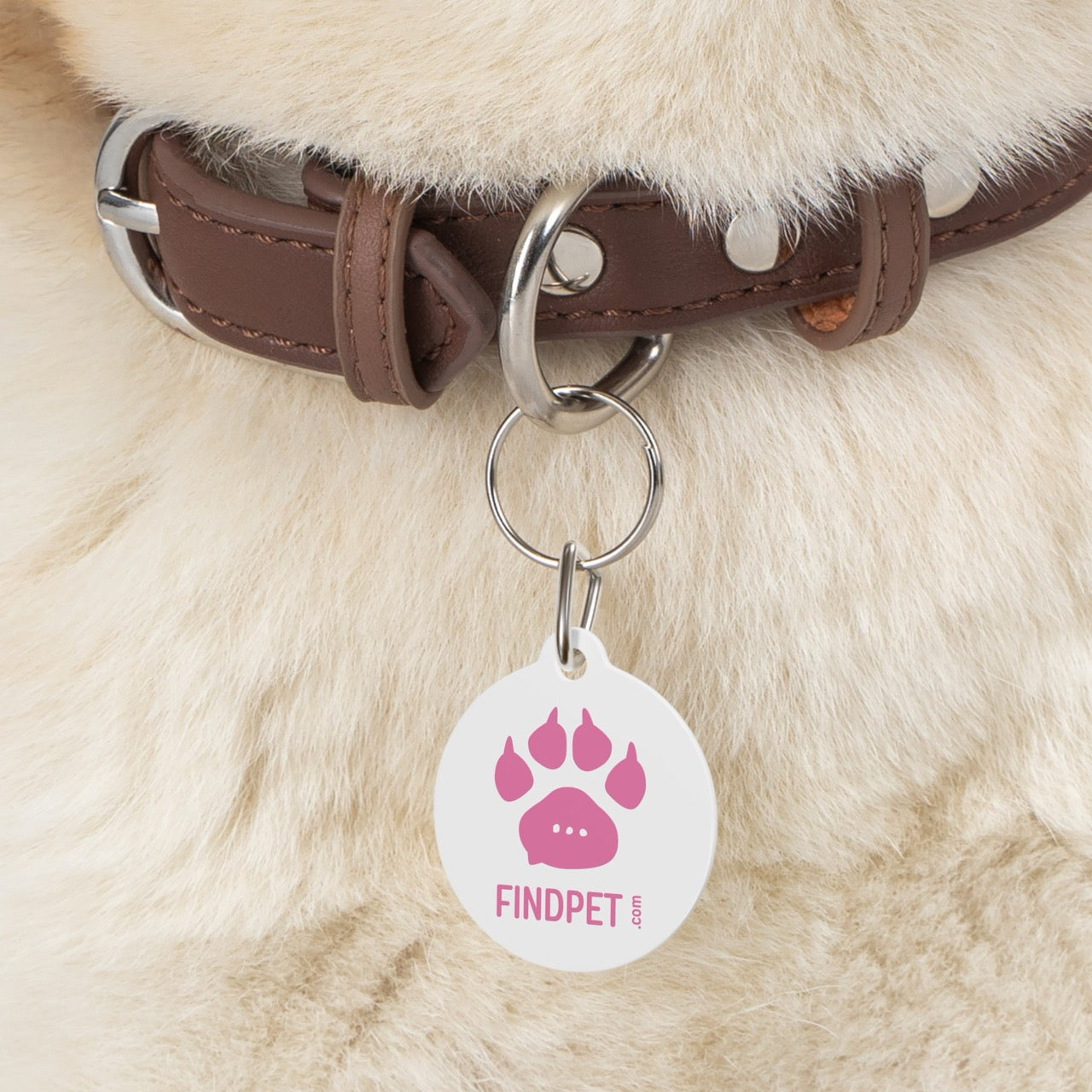 Findpet tag with QR code and pet passport (Pink)