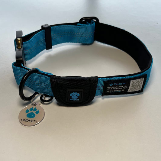 Findpet Collar With ID, Light Blue, opened