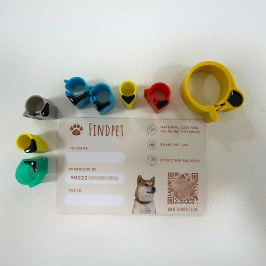 Pigeon ring with pet microchip (RFID) and pet passport. Various sizes.