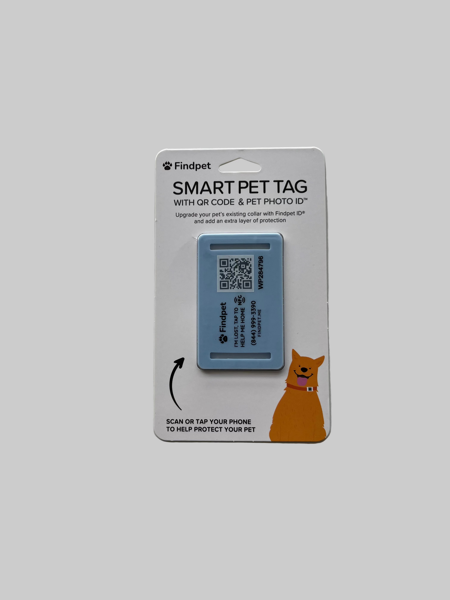 Findpet Silicone Tag, Light Blue, Size: M