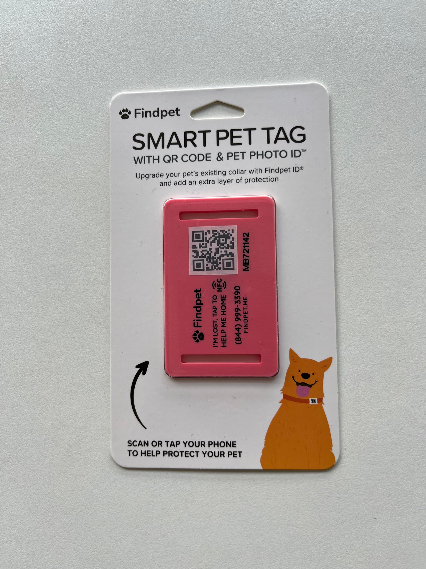 Findpet Silicone Tag, Pink, Size: M
