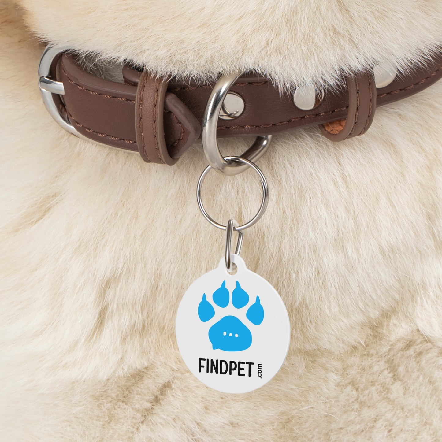 Findpet tag with QR code and pet passport (Original)